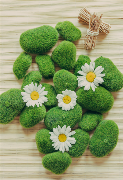 Healing Place for Fresh Life